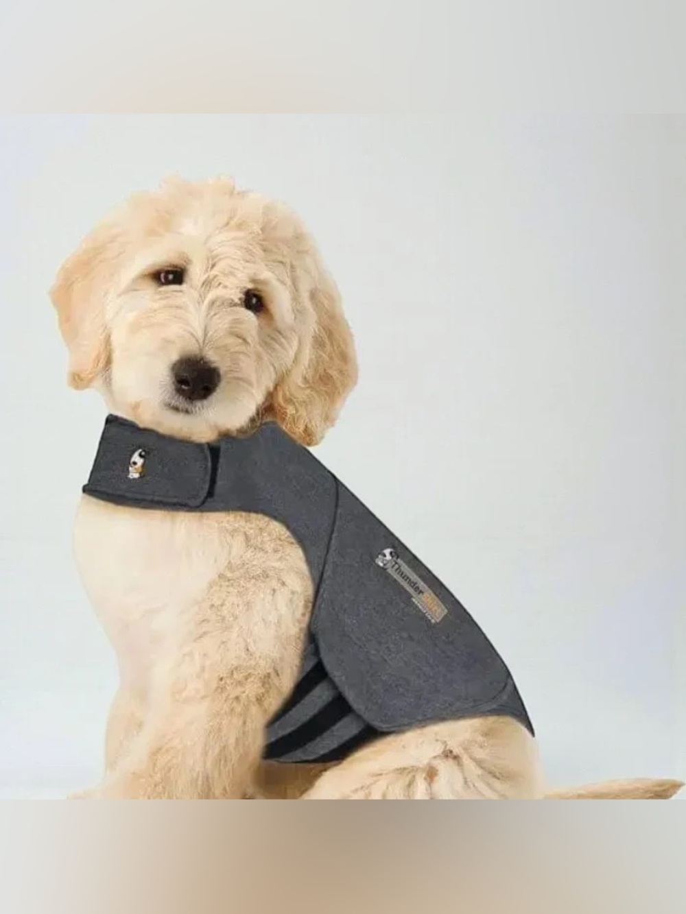 Thundershirt Heather Gray Dog Anxiety Solution, X-Large
